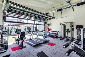 A gym with a treadmill, weights, and exercise equipment.